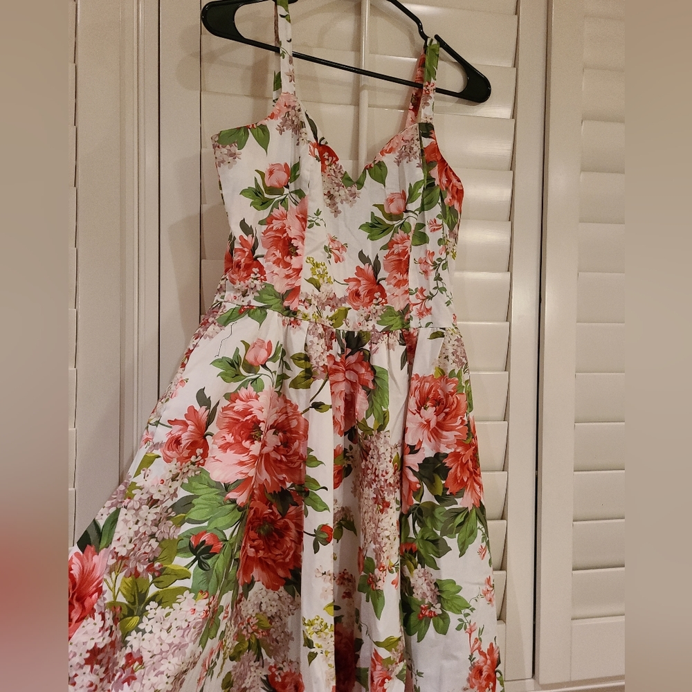 Bernie Dexter Floral Gail dress NWOT